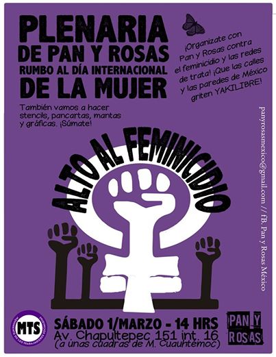 Plenaria de Pan y Rosas hacia el 8 de marzo