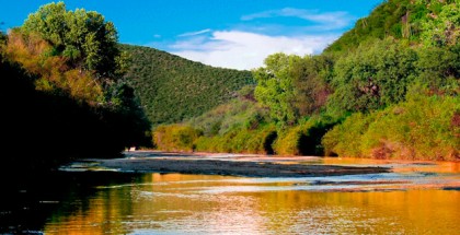 Desastre Ambiental en Sonora