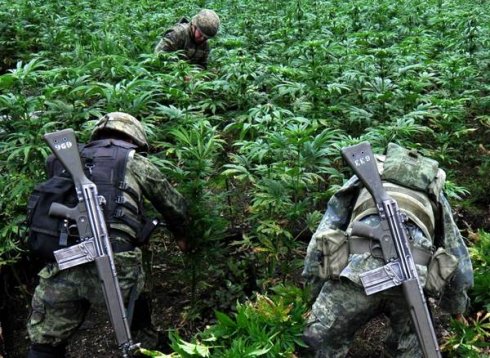 Peña Nieto y la legalización: un debate para que nada cambie
